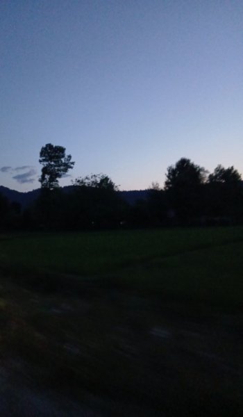 عکس طبیعت واقعی برای استوری