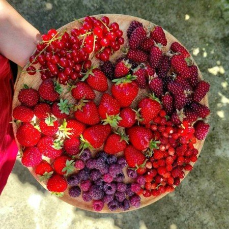 عکس طبیعت واقعی برای استوری