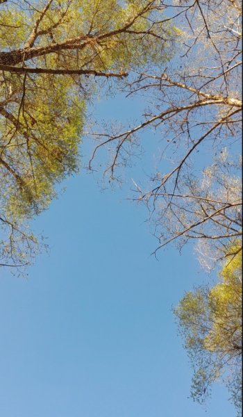  عکس طبیعت واقعی