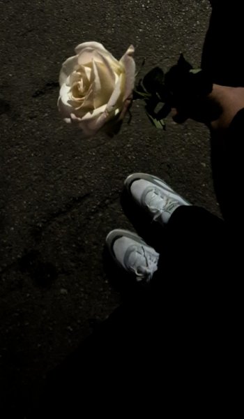  عکس طبیعت واقعی