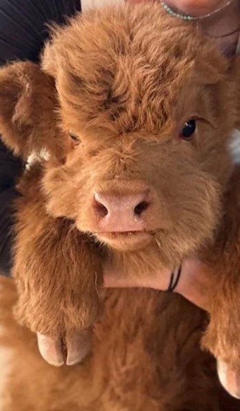  عکس طبیعت واقعی