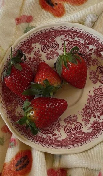  عکس طبیعت واقعی