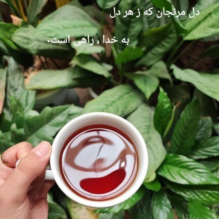  عکس طبیعت واقعی