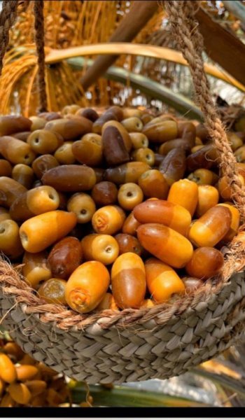  عکس طبیعت واقعی