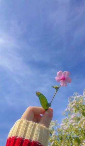  عکس طبیعت واقعی