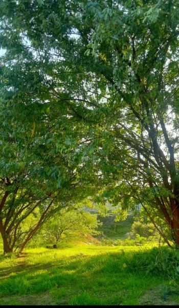  عکس طبیعت واقعی