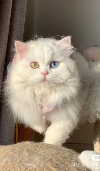  عکس طبیعت واقعی