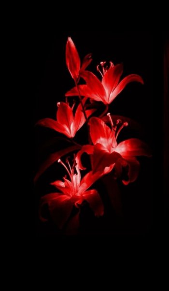  عکس طبیعت واقعی