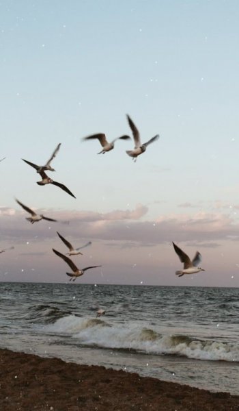  عکس طبیعت واقعی