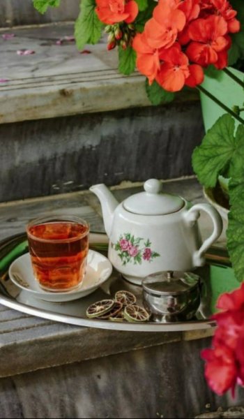  عکس طبیعت واقعی