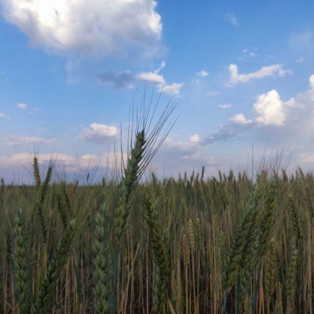  عکس طبیعت واقعی