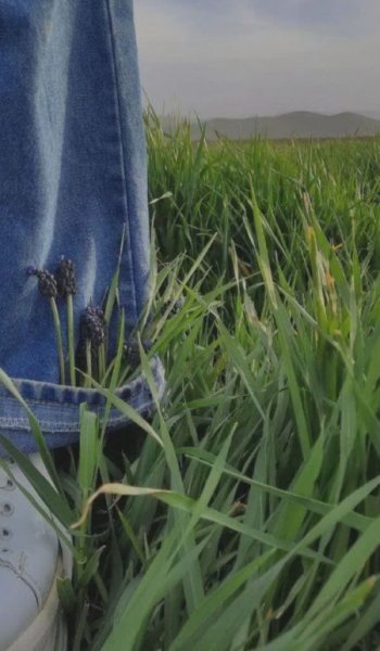  عکس طبیعت واقعی