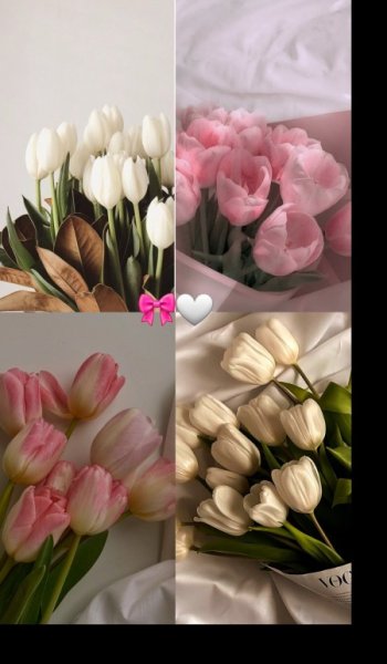  عکس طبیعت واقعی