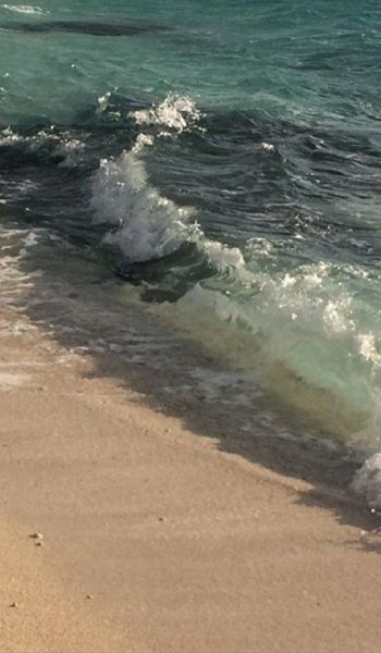  عکس طبیعت واقعی