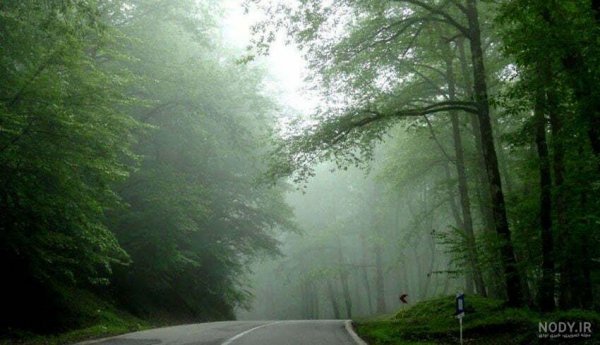  عکس طبیعت واقعی شمال