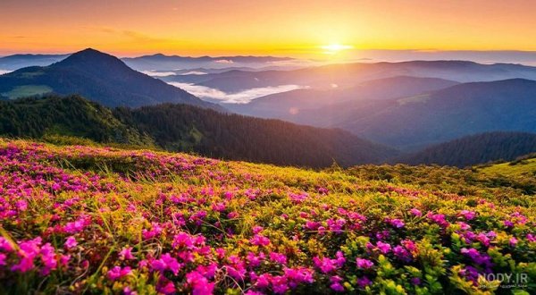  عکس طبیعت واقعی شمال