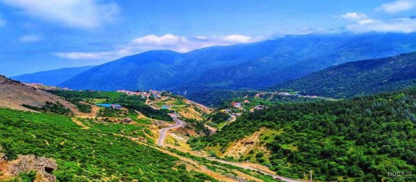  عکس طبیعت واقعی شمال