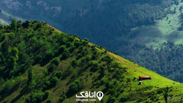  عکس طبیعت واقعی شمال