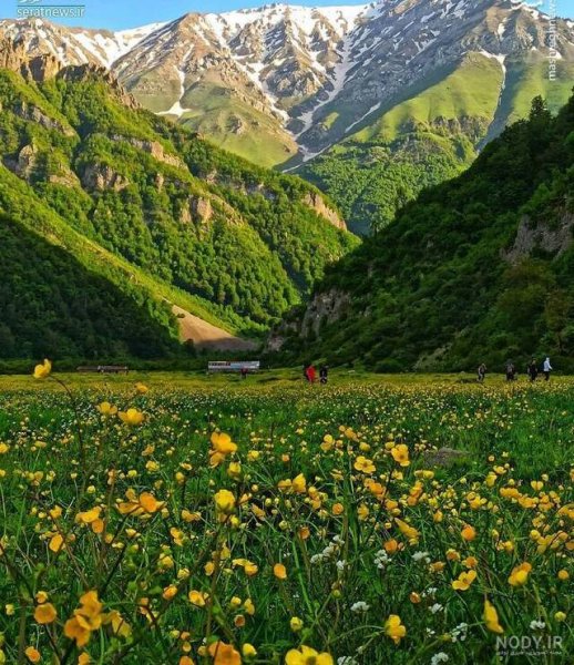  عکس طبیعت واقعی شمال