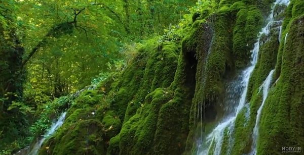  عکس طبیعت واقعی شمال