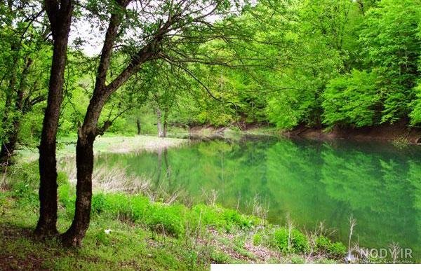  عکس طبیعت واقعی شمال