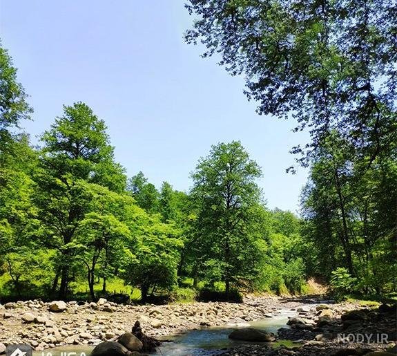  عکس طبیعت واقعی شمال