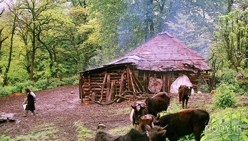  عکس طبیعت واقعی شمال