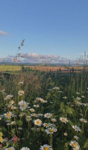  عکس طبیعت واقعی برای استوری