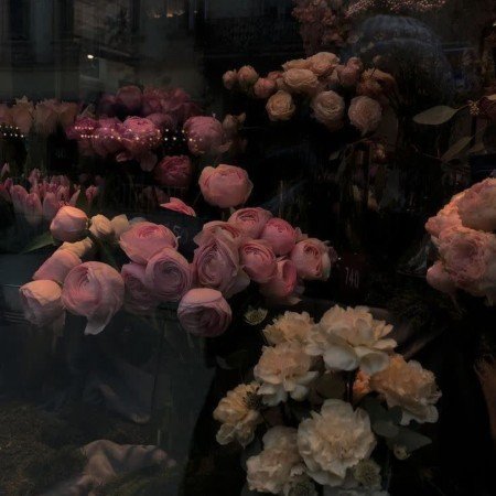  عکس طبیعت واقعی برای استوری