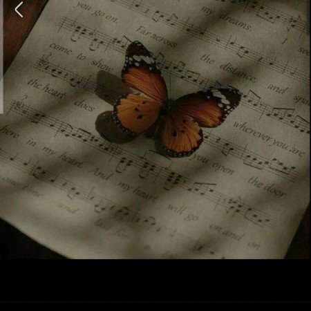  عکس طبیعت واقعی با کیفیت بالا