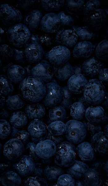  عکس طبیعت واقعی ساده