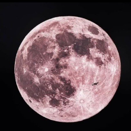  عکس طبیعت واقعی ساده