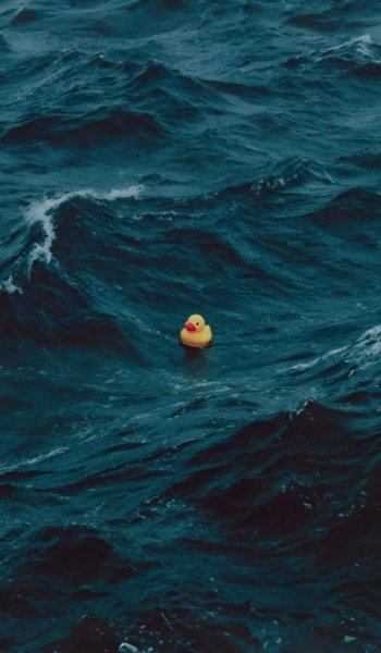  عکس طبیعت واقعی ساده