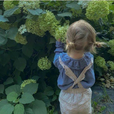  عکس طبیعت واقعی ساده