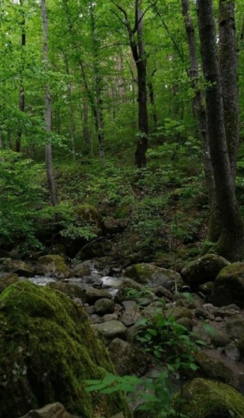  عکس طبیعت واقعی ساده