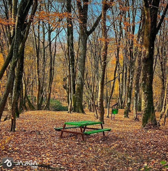  عکس طبیعت شمال در پاییز