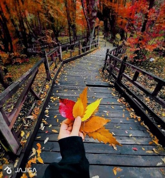  عکس طبیعت شمال در پاییز