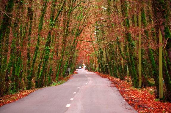  عکس طبیعت شمال در پاییز