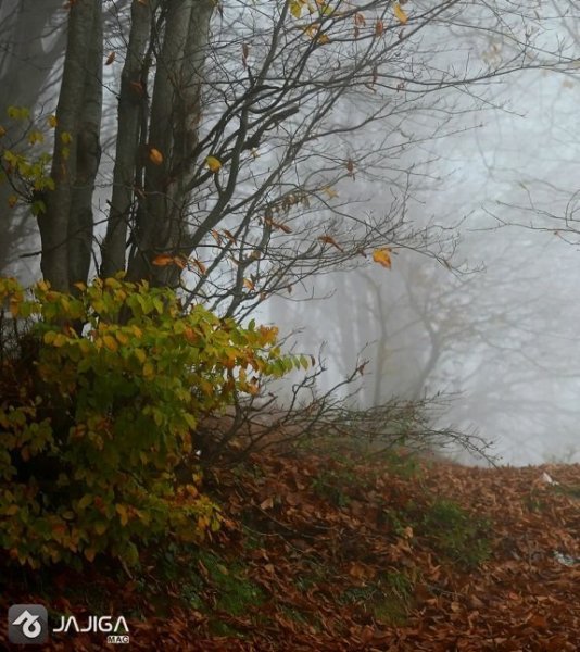  عکس طبیعت شمال در پاییز