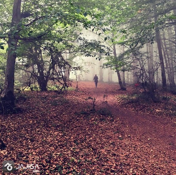  عکس طبیعت شمال در پاییز