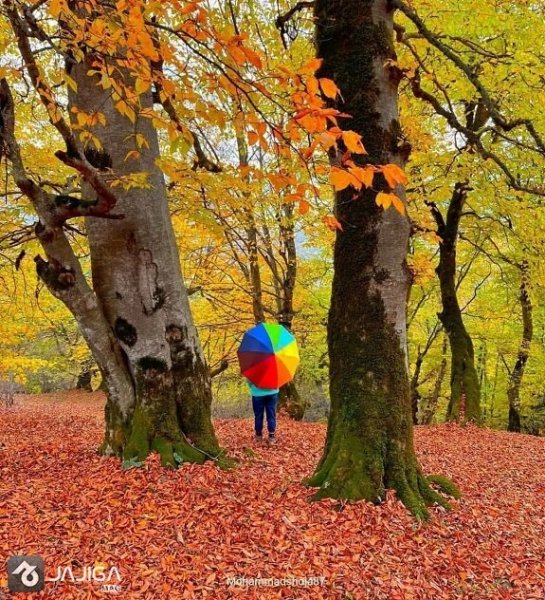  عکس طبیعت شمال در پاییز