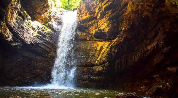  عکس جنگل پاییزی شمال