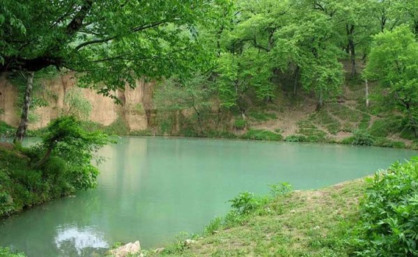  عکس جنگل پاییزی شمال