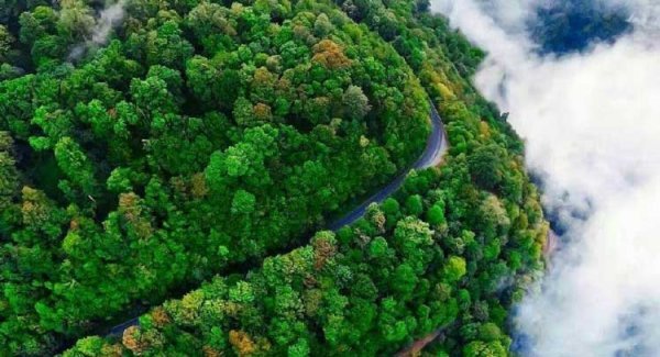  عکس جنگل پاییزی شمال