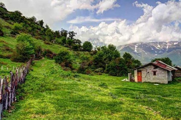  عکس جنگل پاییزی شمال