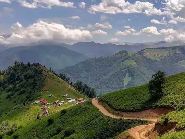  عکس جنگل پاییزی شمال