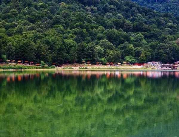  عکس جنگل پاییزی شمال