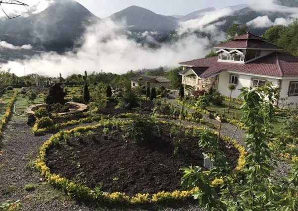  عکس جنگل پاییزی شمال