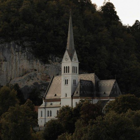  عکس جنگل شمال در شب