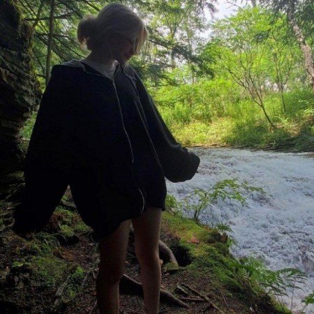  عکس جنگل شمال در شب